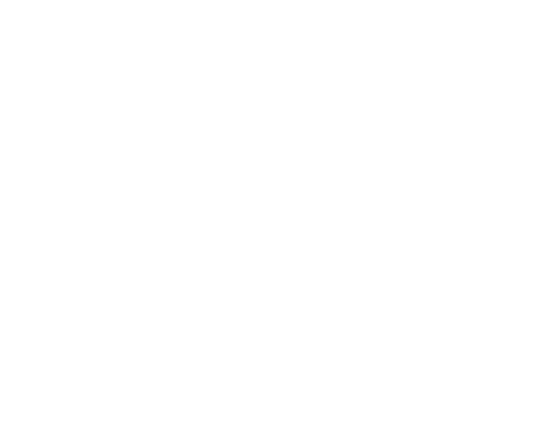 Bridgman Metal Services